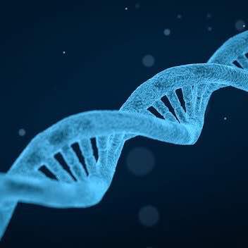 19 neue genetische Risikofaktoren für Alkoholismus gefunden