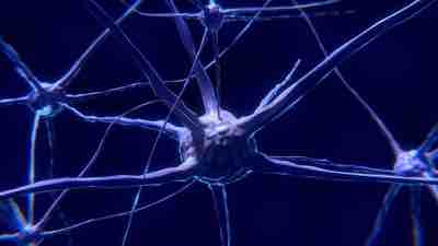 Nervenzelle Neuron Alkohol Entzug Hirnchemie