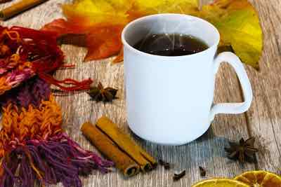 Holunderpunsch besser als Glühwein