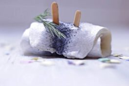 Rollmops-Kater