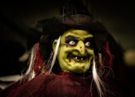 oxana-melis-P0FrzZVB7DE-unsplash-1