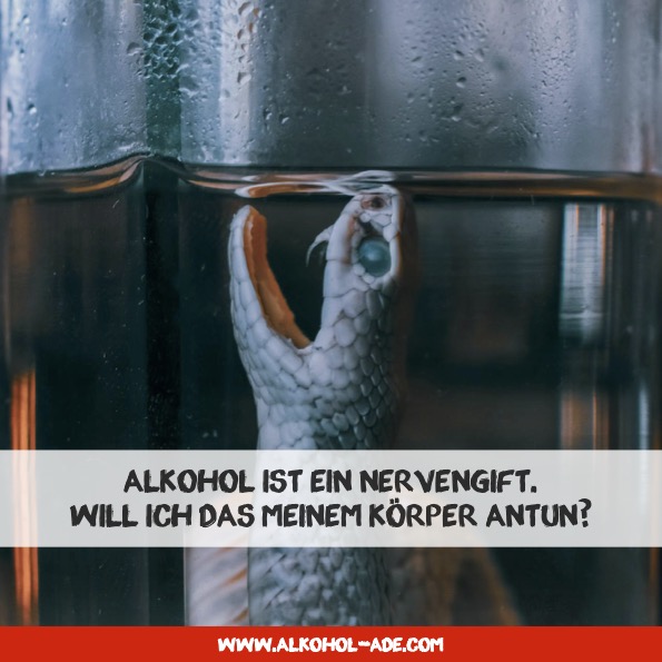 Alkohol ist ein Nervengift. Will ich das meinem Körper antun?