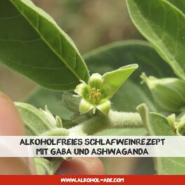 Alkoholfreies Schlafweinrezept mit GABA und Ashwaganda