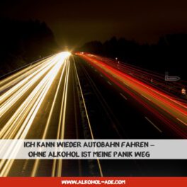 Autobahn Panik