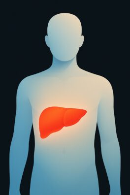 Leber Herobild Leberzirrhose