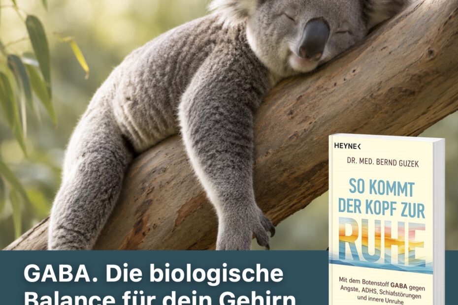 Ad für das Buch GABA. So kommt der Kopf zur Ruhe