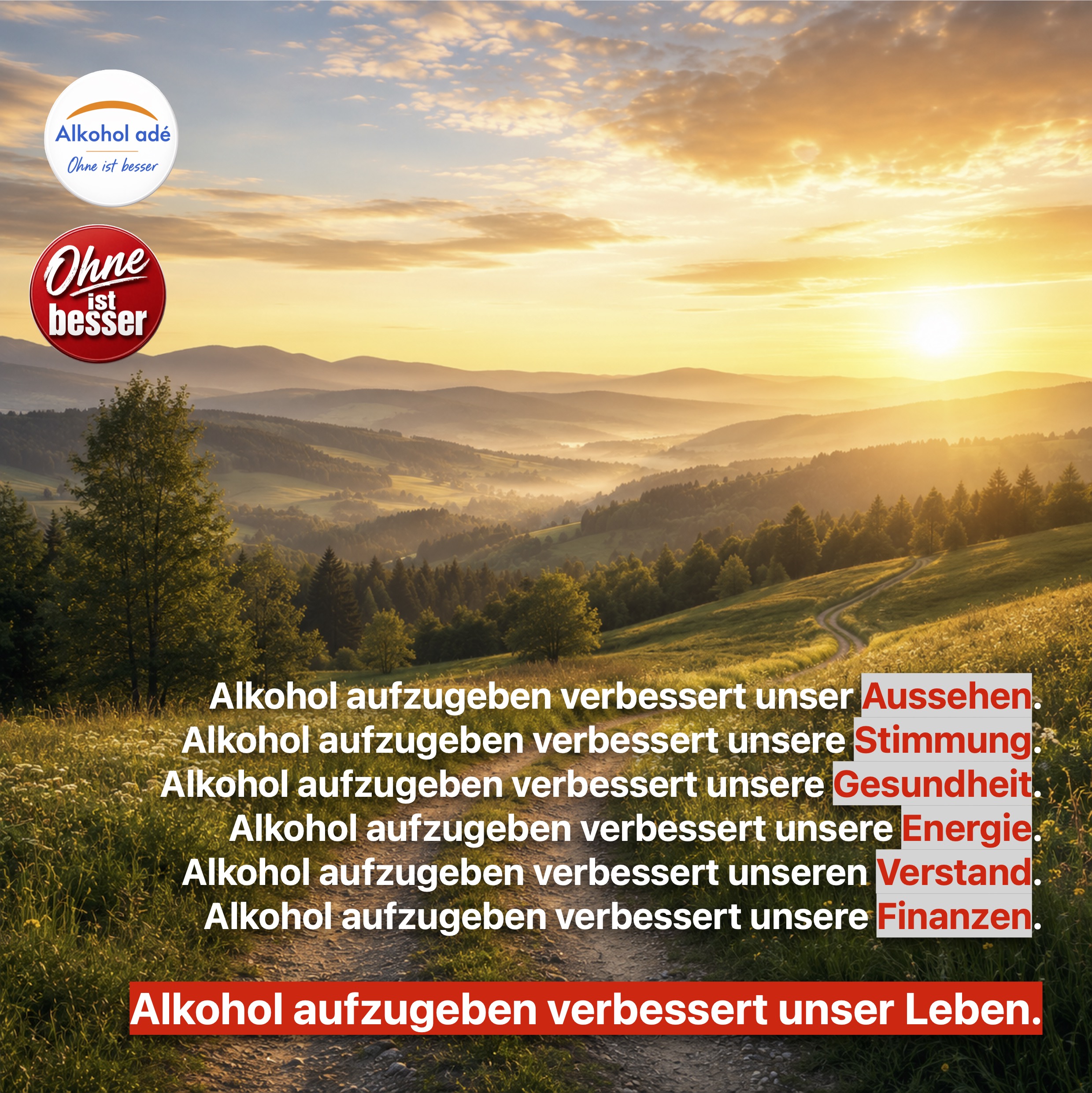 Ein geschwungener Feldweg führt durch eine sonnendurchflutete Hügellandschaft in die Ferne. Goldene Morgenstrahlen tauchen Wiesen, Bäume und sanfte Bergketten in warmes Licht. Die weite, friedliche Szenerie vermittelt Hoffnung, Freiheit und die Aussicht auf ein erfülltes Leben mit neuen Möglichkeiten.