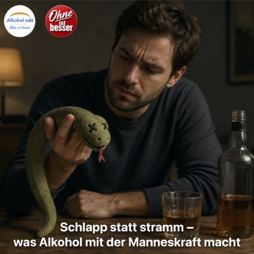 Ein nachdenklicher Mann sitzt an einem Holztisch und betrachtet mit fragendem Blick eine schlaffe Stoffschlange in seiner Hand. Die Stoffschlange hat comicartige X-förmige Augen und eine herausgestreckte Zunge. Auf dem Tisch stehen ein Glas und eine Flasche mit alkoholischem Getränk. Die gedämpfte Beleuchtung und die ruhige Bildstimmung vermitteln symbolisch die möglichen Auswirkungen von Alkohol auf die männliche Sexualfunktion.