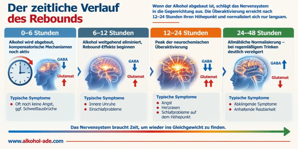 Infografik zum zeitlichen Verlauf des Rebound-Effekts nach Alkoholkonsum. Vier Zeitfenster von 0 bis 48 Stunden zeigen die Entwicklung des Nervensystems: Während der Alkohol zunächst noch abgebaut wird, beginnen nach 6–12 Stunden Rebound-Effekte mit innerer Unruhe und Einschlafproblemen. Nach 12–24 Stunden erreicht die neurochemische Überaktivierung mit vermindertem GABA und erhöhtem Glutamat ihren Höhepunkt; typisch sind Angst, Herzrasen und Schlafprobleme. Nach 24–48 Stunden klingen die Symptome allmählich ab, bei regelmäßigem Trinken kann die Normalisierung deutlich verzögert sein.